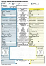 wspolne-oswiadczenie-o-zdarzeniu-drogowym-pl-eng