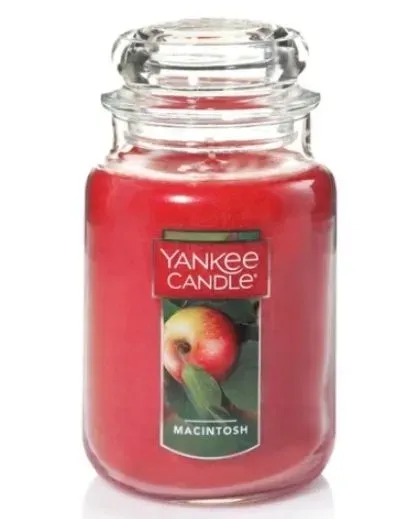 yankee-candle-large-jar-macintosh-623g