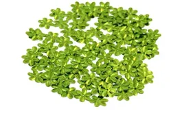 cekiny-kwiatki-male-8mm-5gram-jasnozielone-cekkwiat-m2-081