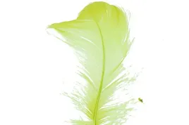 piorka-w-torebce-foliowej-15-gram-seledynowe-ppiorka-083