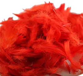 piorka-w-torebce-foliowej-15-gram-czerwone-ppiorka-050