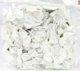 piankowe-kwiaty-z-precikami-sr-4cm-6x6szt-biale-ol-m15h-001