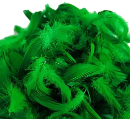 piorka-w-torebce-foliowej-15-gram-zielona-trawa-ppiorka-084