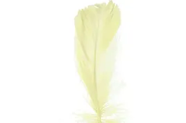 piorka-w-torebce-foliowej-15-gram-kremowe-ppiorka-010