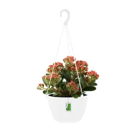 doniczka-wiszaca-okragla-splofy-round-dspw230-bialy