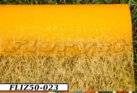 flizelina-jednokolorowa-50cmx9y-jajko-fliz50-023