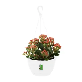 doniczka-wiszaca-okragla-splofy-round-dspw270-bialy