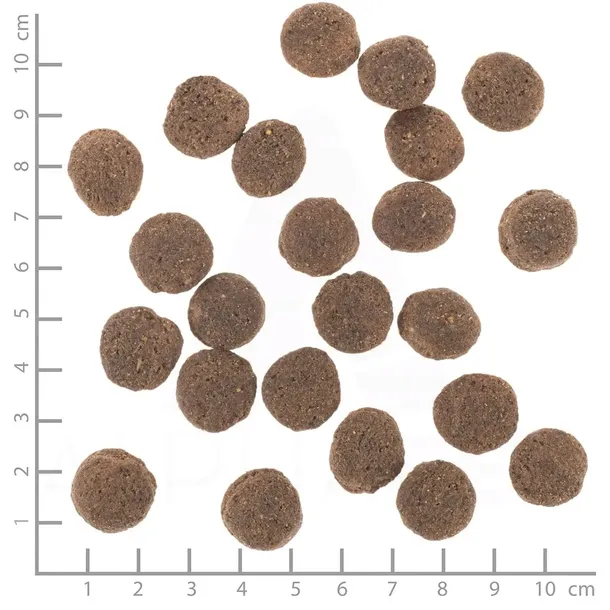 sucha-karma-dla-psa-wolfsblut-vetline-hypoallergenic-2kg-wiek-zwierzecia-karma-uniwersalna