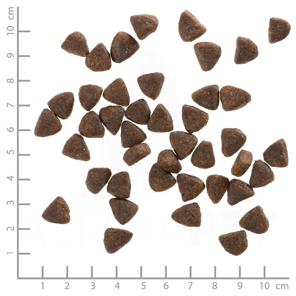 sucha-karma-dla-psa-wolfsblut-wide-plain-small-2kg