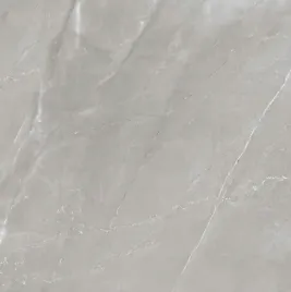 tanigres-plytls-gres-szara-biala-zylka-venezia-grey-hard-matt-60x60-gat-i