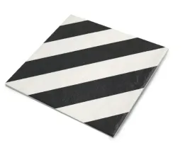 plytka-scienne-biel-czern-mat-198x198-1-gatunek-paradyz