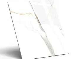 plytki-biale-czarna-zolta-zylka-nic-matt-podlogowe-scienne-60x60-gat-i