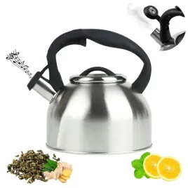 srebrny-czajnik-z-gwizdkiem-tradycyjny-25-l-indukcja-gaz-stal