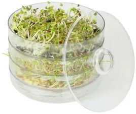 kielkownica-3-szalki-nasiona-na-kielki-gratis