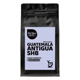 kawa-ziarnista-guatemala-antigua-slow-bean-250g-100percent-arabica-gwatemala