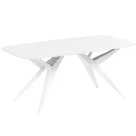 stol-rozkladany-180-256-cm-owalny-metalowe-biale-pajak-nogi-loft-akis