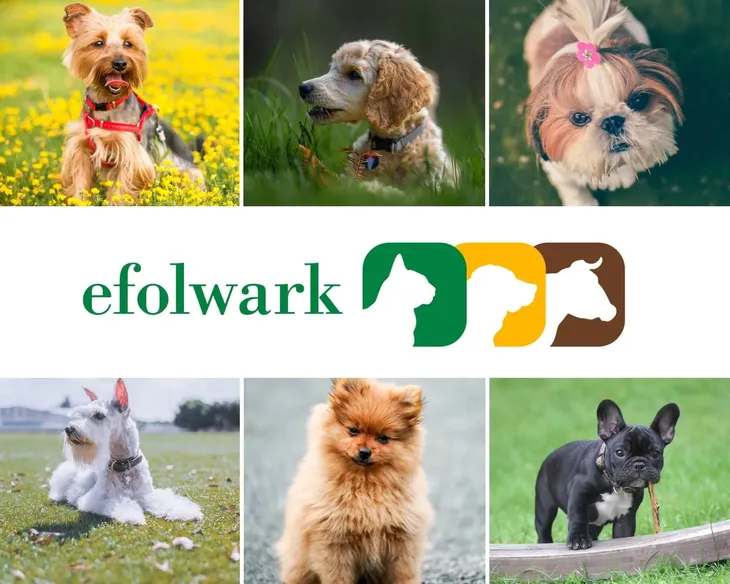 trixie-mini-kolo-junior-lateks-8-cm-stan-nowy
