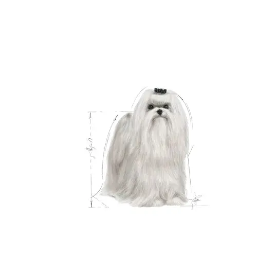 data-13-07-2026-royal-canin-dla-maltanczykow-05-kg-marka-royal-canin