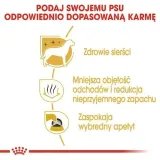 data-13-07-2026-royal-canin-dla-maltanczykow-05-kg-rodzaj-karmy-hipoalergiczna