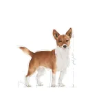 royal-canin-ccn-urinary-loaf-85-g-wiek-zwierzecia-psy-dorosle