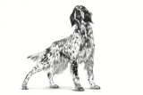 royal-canin-urinary-dla-psow-410-g-marka-royal-canin