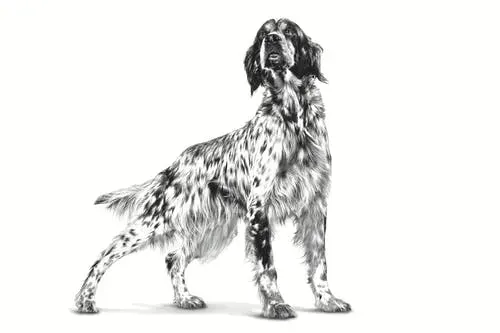 royal-canin-urinary-dla-psow-410-g-marka-royal-canin