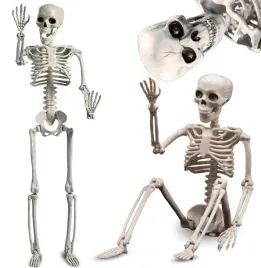 duzy-szkielet-czlowieka-model-kosciotrup-szkieletor-dekoracja-90cm-xxl