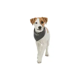 trixie-bandamka-be-nordic-s-17331