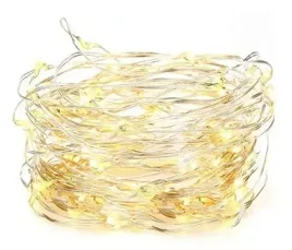 lampki-drucik-100led-na-baterie-biale-cieple-10m