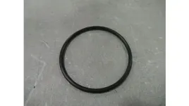 70923600-o-ring-case-new-holland-cnh-oryginal