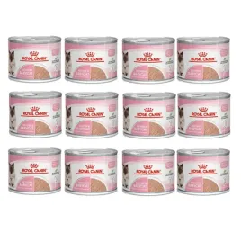 royal-canin-babycat-instinctive-mus-12-x-195-g