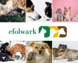 eurowet-hexoderm-excellence-200-ml-marka-eurowet