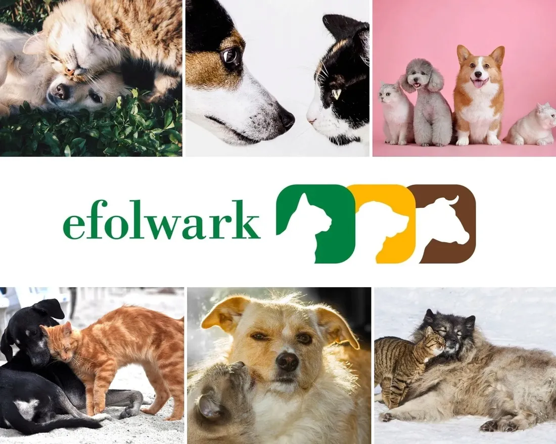 eurowet-hexoderm-excellence-200-ml-marka-eurowet