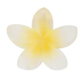 klamra-spinka-do-wlosow-kwiat-klips-spinki-boho-plumeria-duza-hawajska-mat