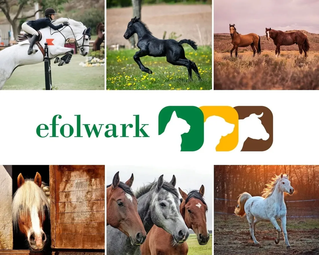 hippovit-witaminy-dla-koni-1-kg-stan-nowy