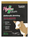hydroceum-elektrolity-500-ml-stan-nowy