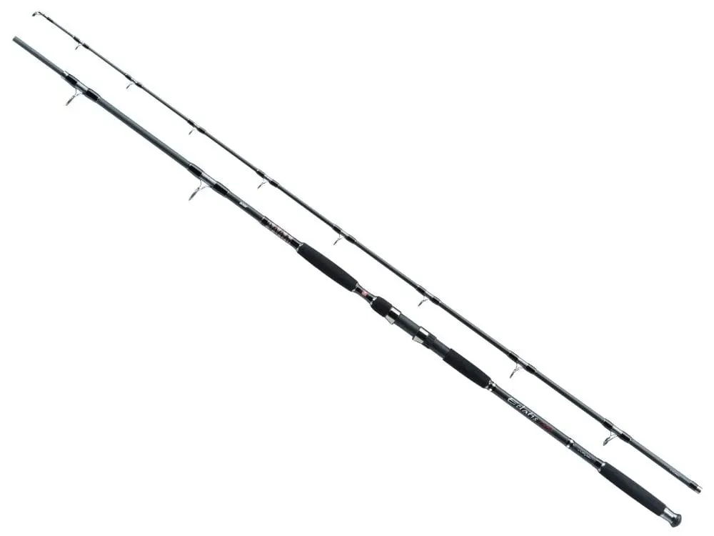 wedka-jaxon-eclatis-cat-fish-300cm-do-450g-2sec-stan-nowy