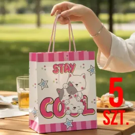 5-pak-torebka-torba-na-prezent-prezentowa-dekoracyjna-dziecieca-zestaw