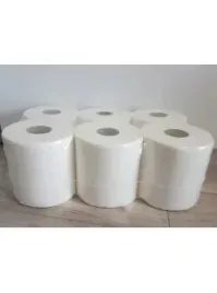 recznik-w-roli-celuloza-100m-2w-mega-wydajny