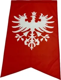 flaga-powstania-wielkopolskiego-powstanie-wielkopolskie-mocna-112x70-cm