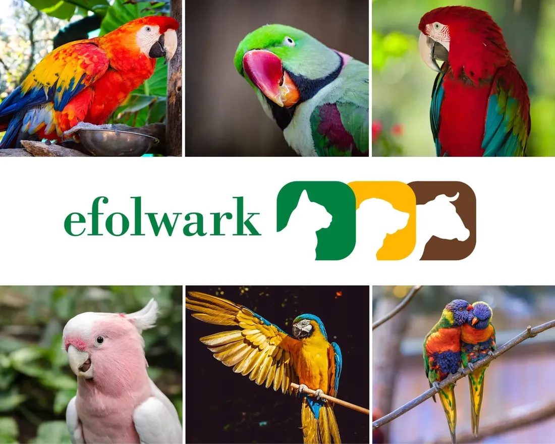 vitapol-kostka-wapienna-dla-ptakow-jablko-karmy-specjalne-nie-dotyczy