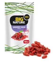 big-nature-jagody-goji-250g