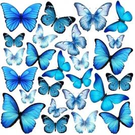 motyle-waflowe-11-motylki-motyl-oplatek-3d-kolorowe-na-tort-25-szt