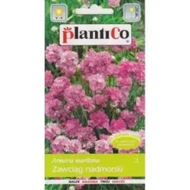plantico-zawciag-nadmorski-03g-wieloletni-nasiona-plantico