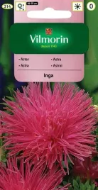 aster-chinski-igielkowy-inga-nasiona-vilmorin-rozowy-nasiona-dlugo-kwitnie