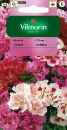 godecja-marszawa-azalia-mix-vilmorin-1g-na-rabaty-obrobki