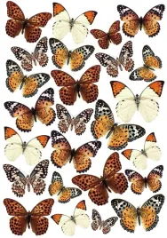 motyle-waflowe-8-motylki-3d-brazowe-dekoracja-oplatek-na-tort-25-szt