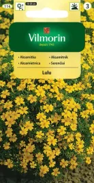 aksamitka-lulu-waskolistna-05g-zolta-nasiona-na-rabaty-blkono-skrzynek