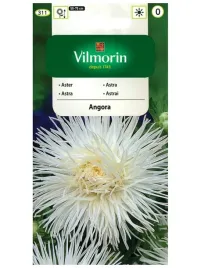 aster-chinski-igielkowy-angora-bialy-05g-nasiona-vilmorin-dlugo-kwitnie
