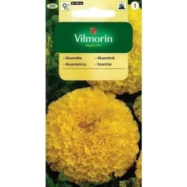 aksamitka-wzniesiona-cytrynowa-1-g-vilmorin-lemon-zolta-latwa-w-uprawie